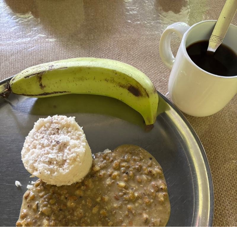 #148 (31/100)今日は検査日