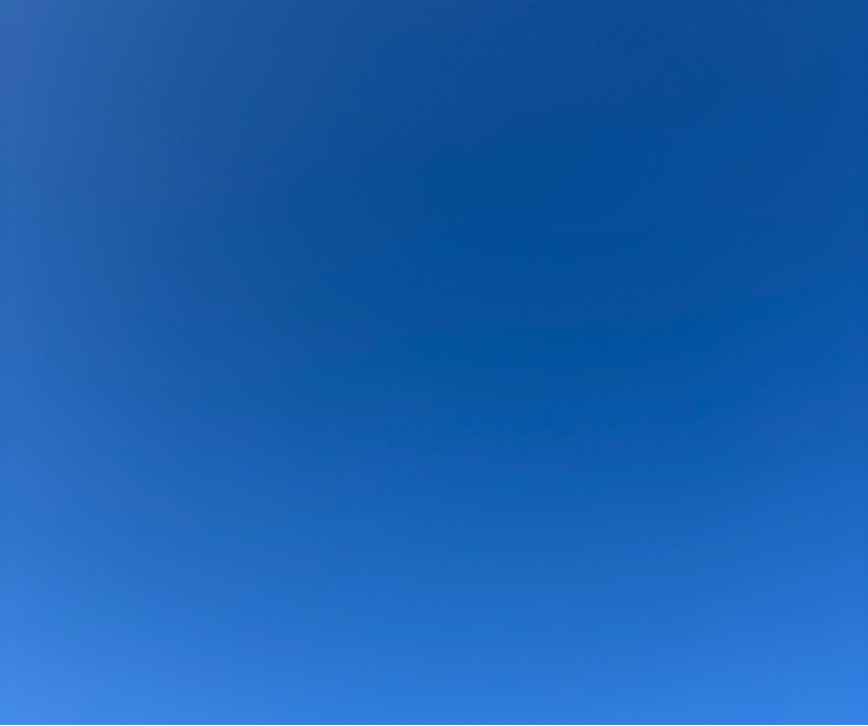 #184 (67/100) プラスチックは気にする？