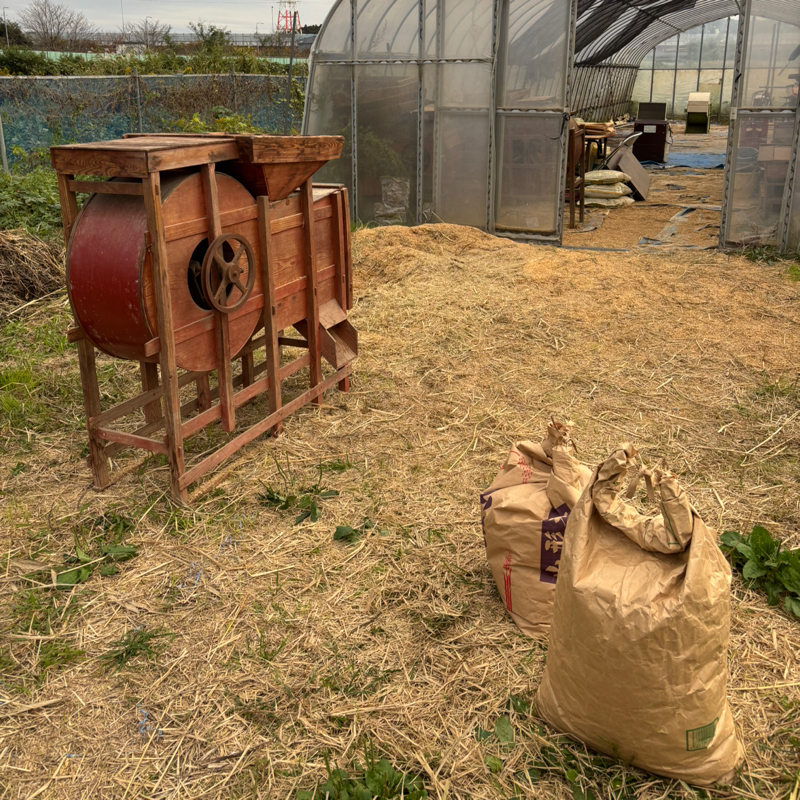 #188 (71/100) 負傷ばっかり💦