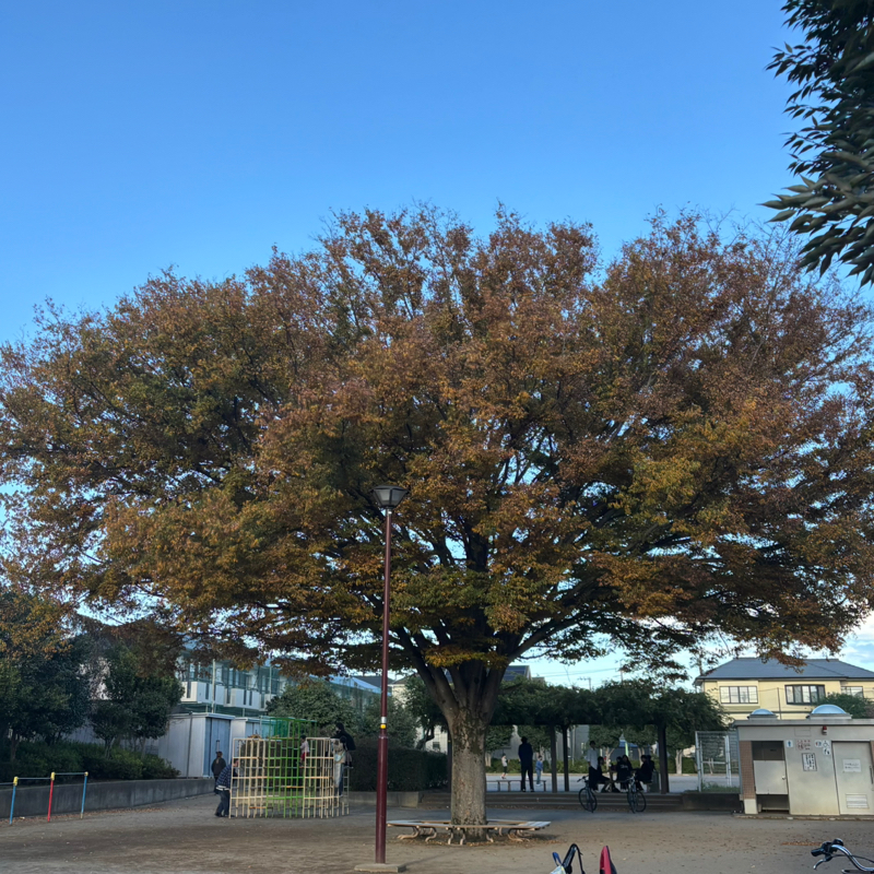 #193 (76/100) なんのことはない昨日今日