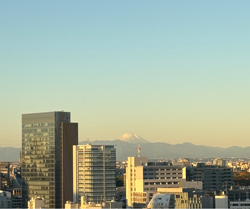 #195 (78/100)今日のオシゴトは…&荷物は全部空けてる？