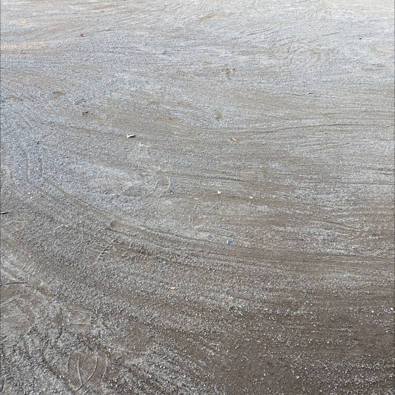 #197 (80/100)添乗員てタイヘンなオシゴトですね