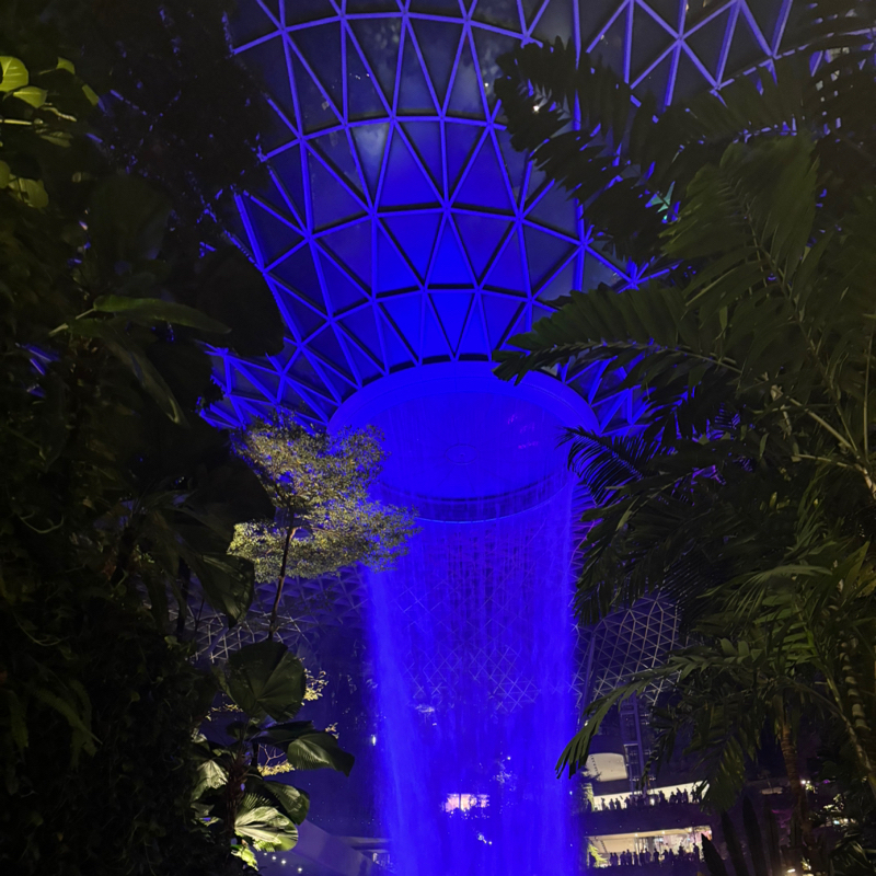 #198 (81/100) どんなのが日常ですか？