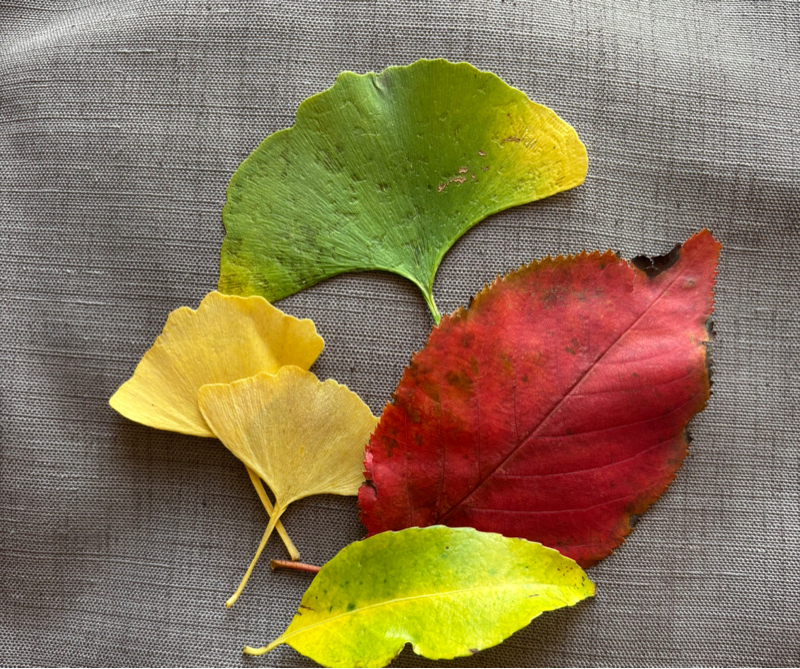 #201 (84/100) 微笑ましい光景