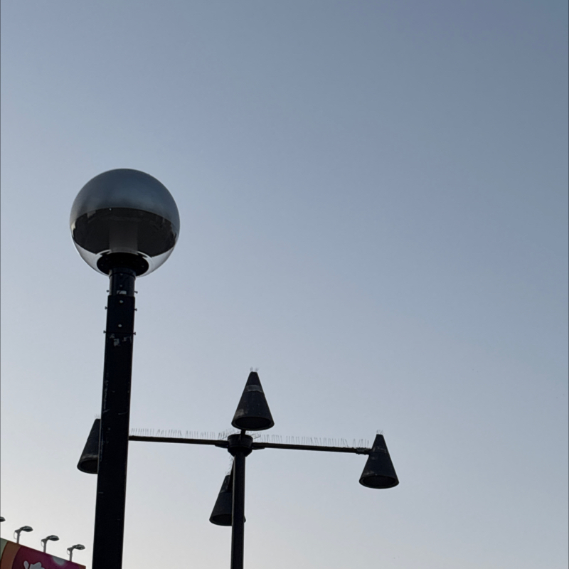 #203 (86/100) パーティー服を探しに