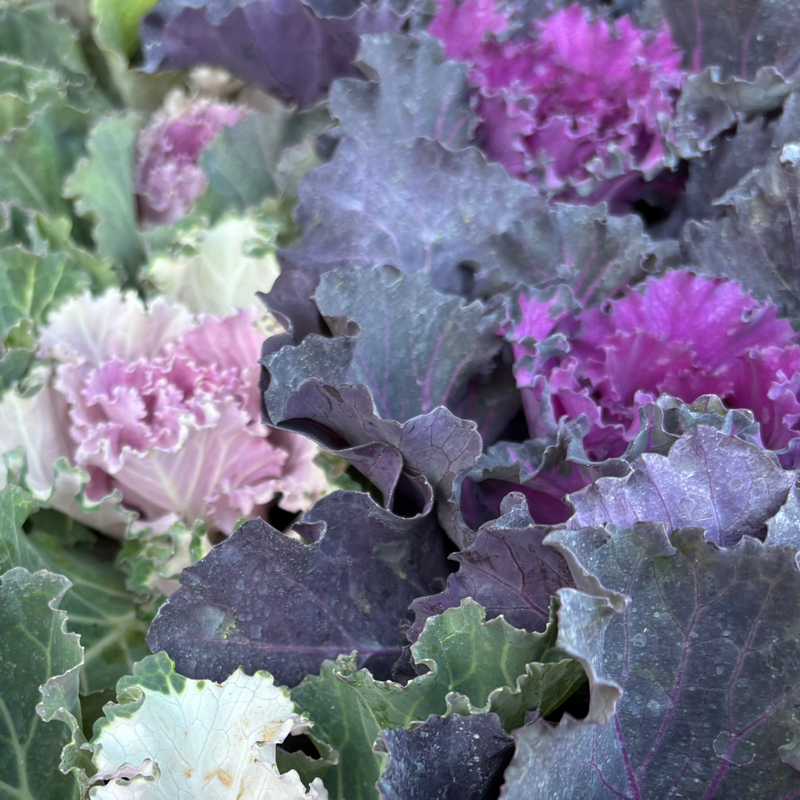 #212 (95/10)意図することが思い浮かんだよ