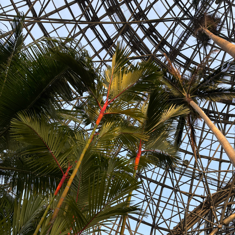 #217 (100/100) 飲食物とは…