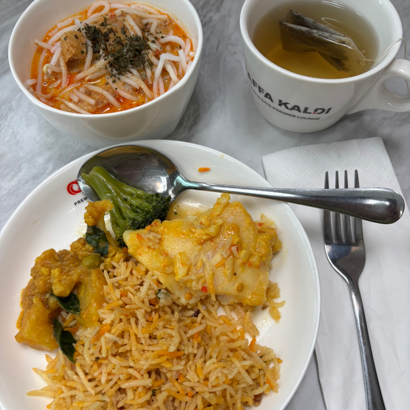 #231 日本から南インドのケララ州へ🇮🇳