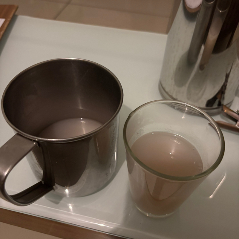 #234 暇なので今日の状況を スネハパナ5日目