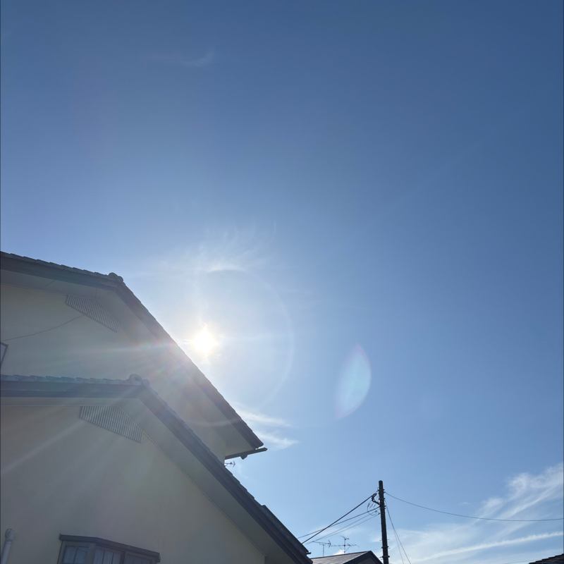 #252 いい天気って？& 楽しいリトリート会議