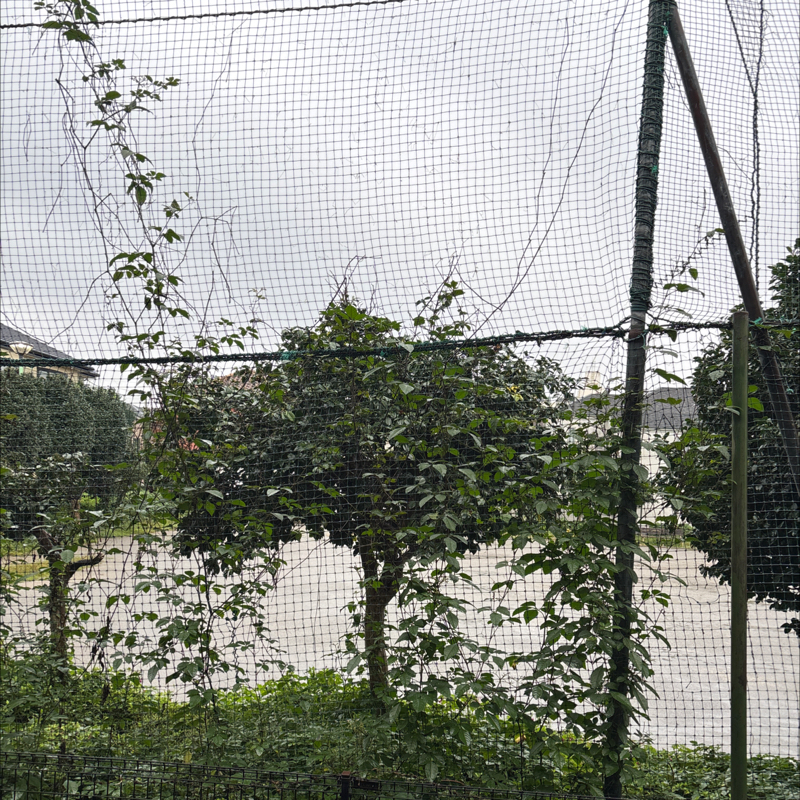 #271 今日も雨の関東地方から　