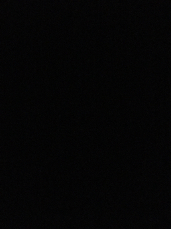 外郎売チャレンジ2