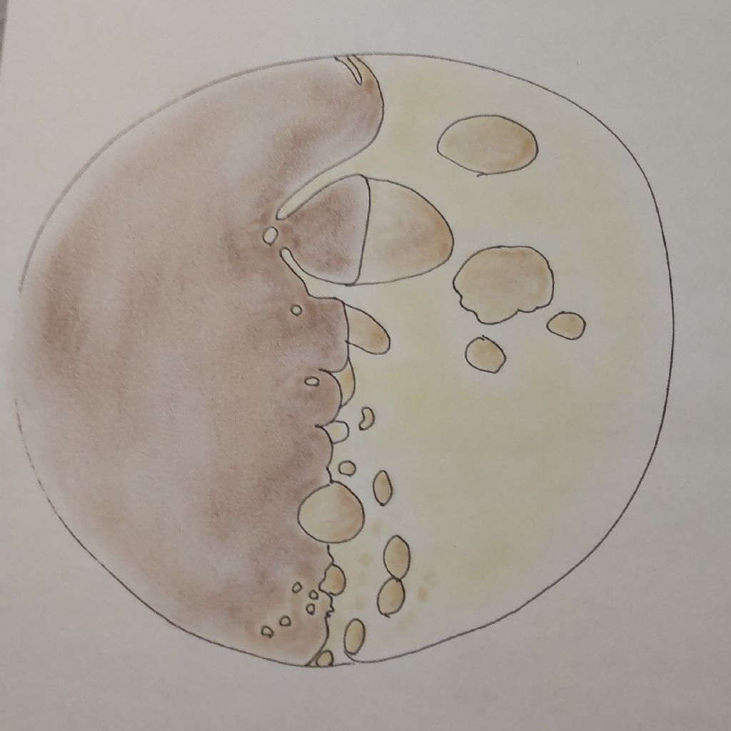 石原純　ニュートン