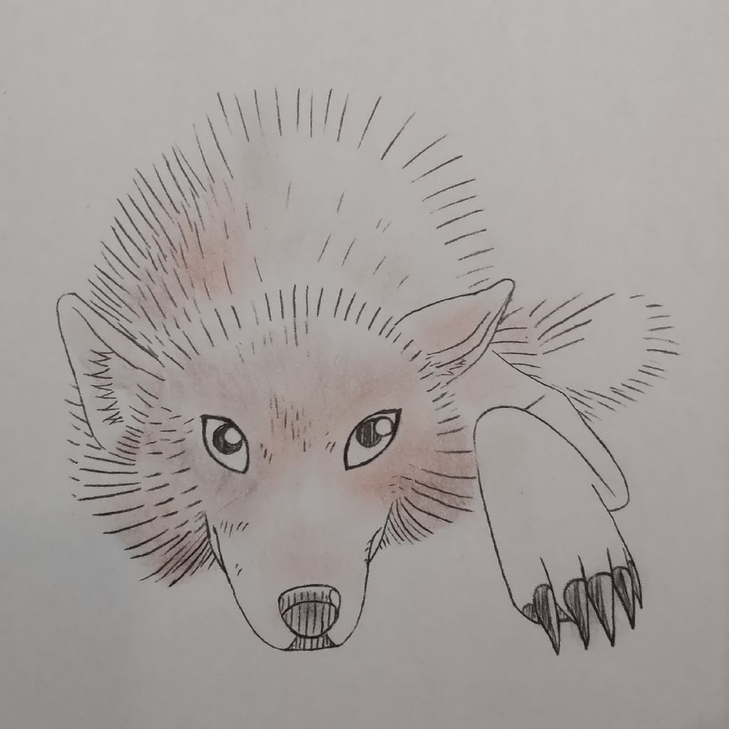 動物物語 狼の王ロボ アーネスト・トムソン・シートン 薄田斬雲訳後編()