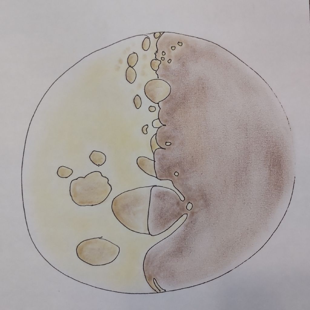 ミケランジェロの彫刻写真に題す 高村光太郎 