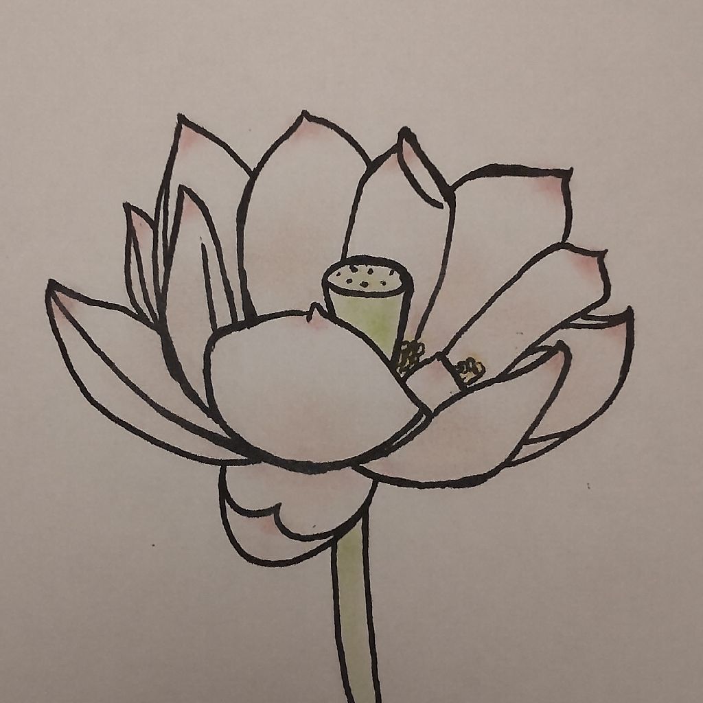 牧野富太郎 蓮の話 前編