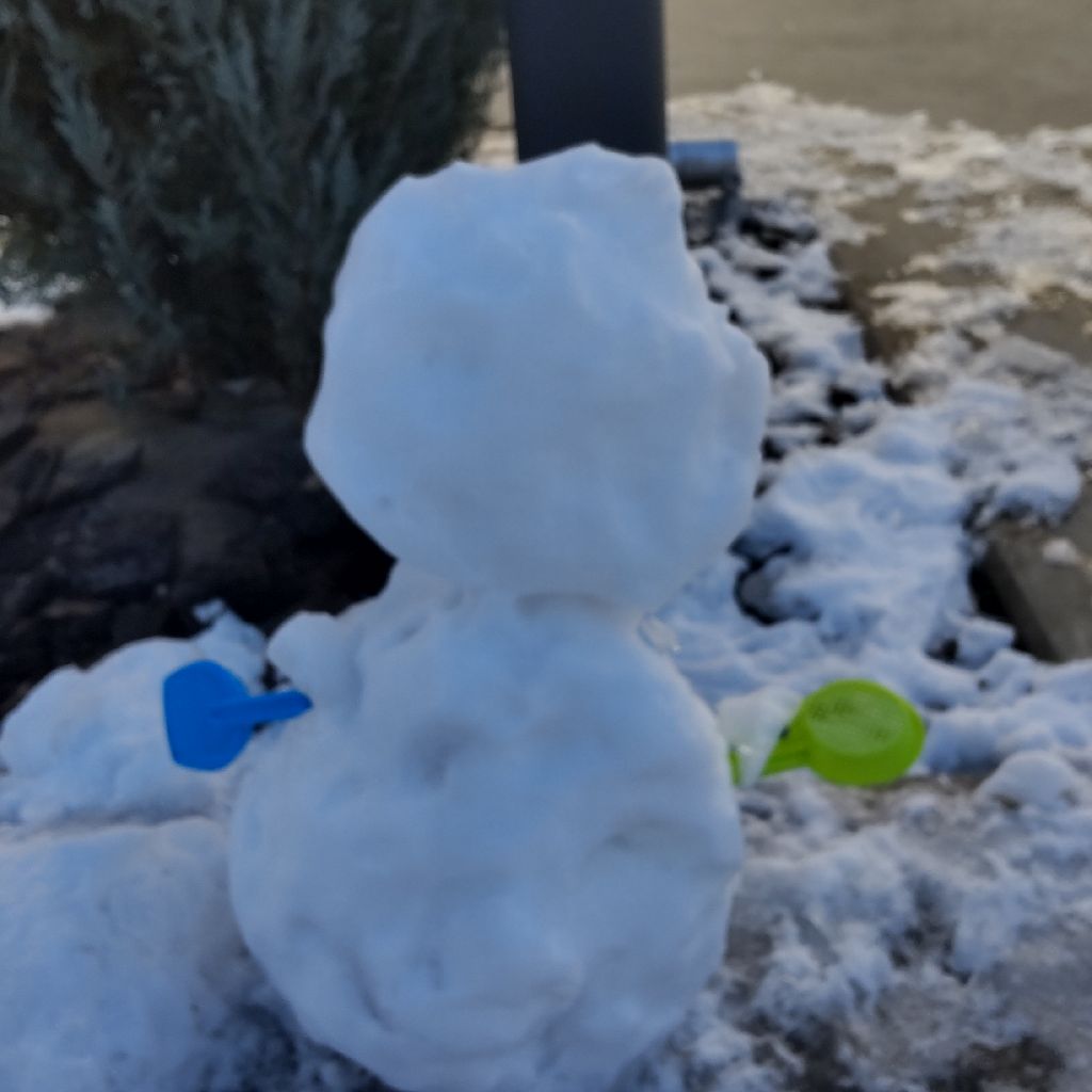 中谷宇吉郎 雪 序 一 二