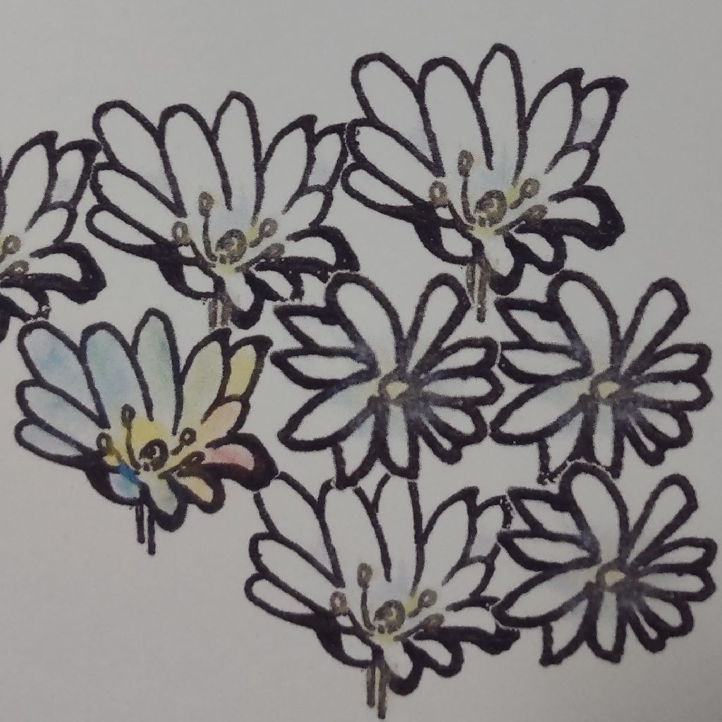 岸千代子 雪の花 十四 再会