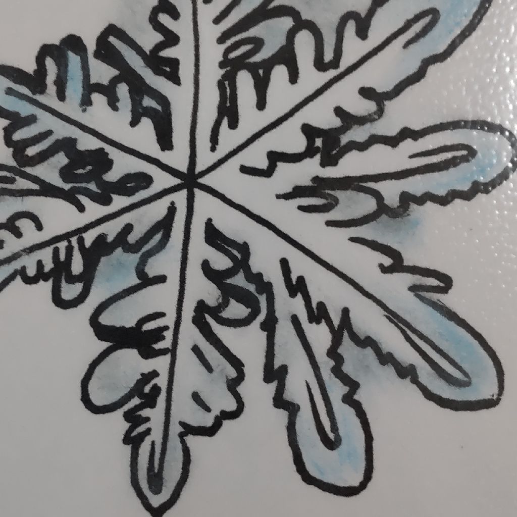 中谷宇吉郎 雪 ４ 樹枝状平板結晶 from Radiotalk episode artwork