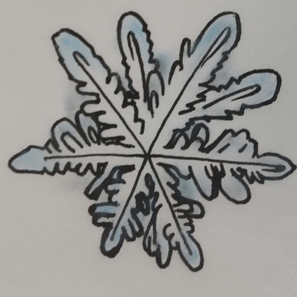 中谷宇吉郎 雪 樹枝付角板 from Radiotalk episode artwork