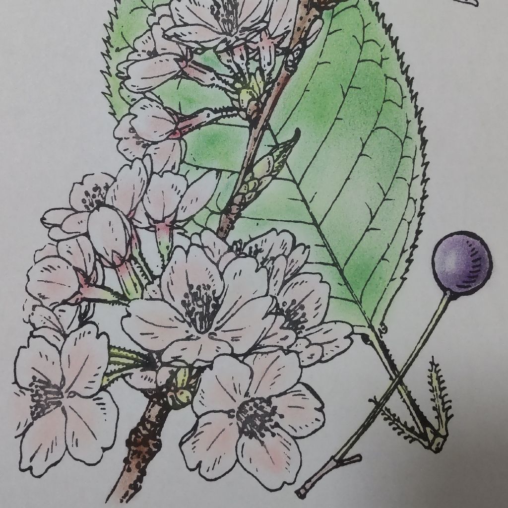 お礼 from Radiotalk episode artwork