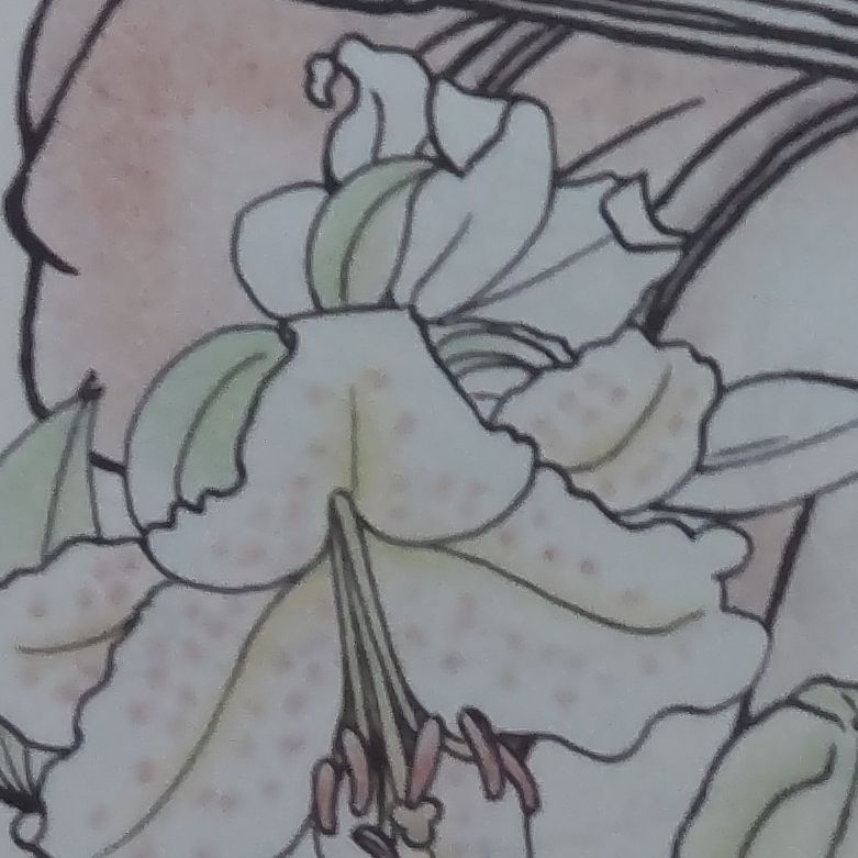 お礼 from Radiotalk episode artwork
