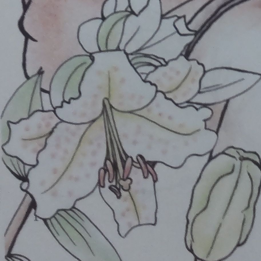 お礼 from Radiotalk episode artwork