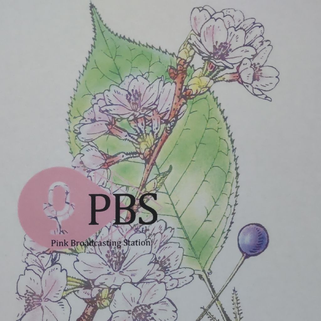 バイオーム生物群系