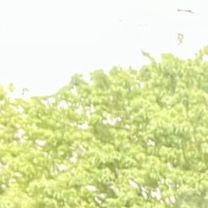 修学旅行と鉄道の記憶