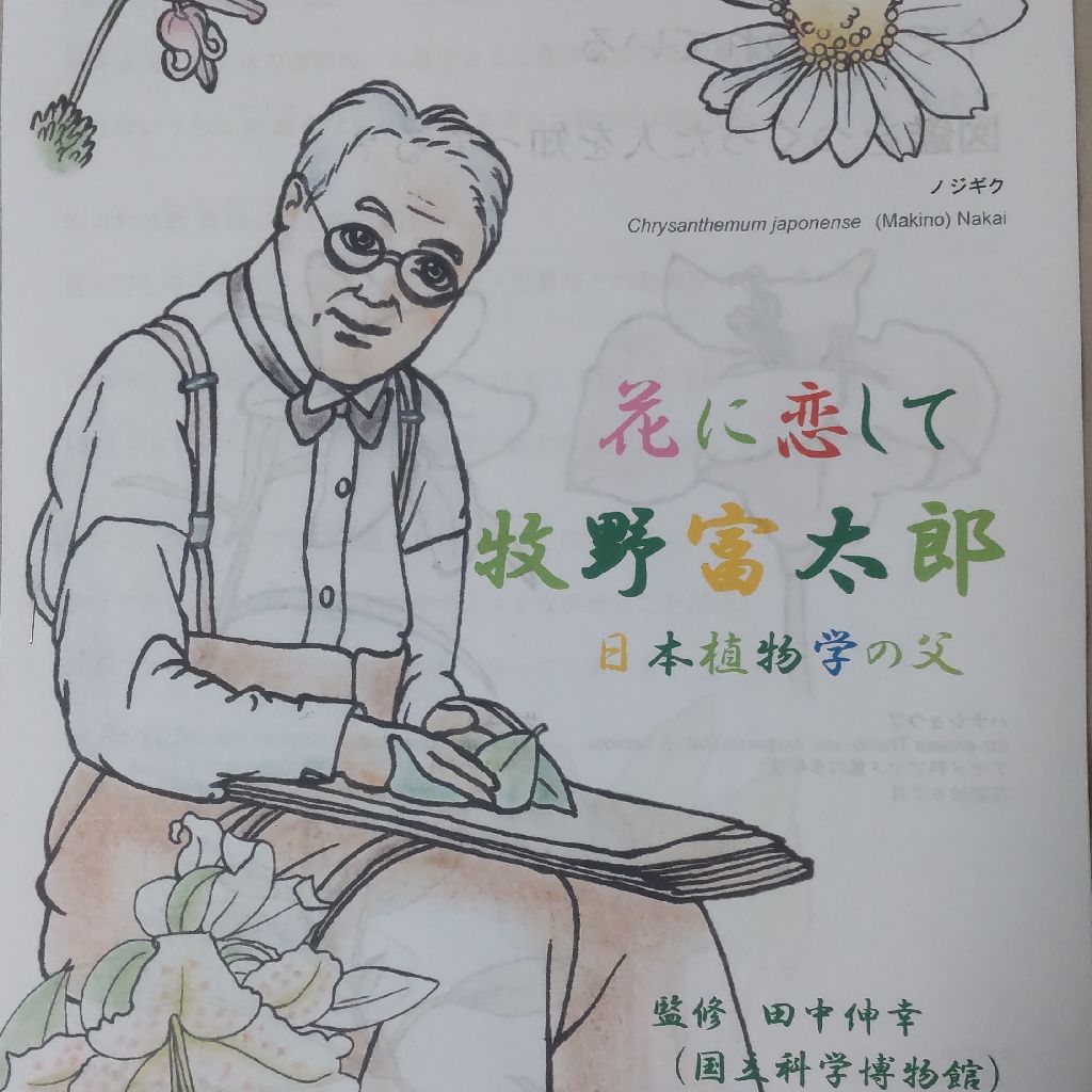 牧野富太郎 植物一日一題 センジュガンピの語原