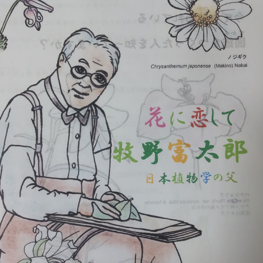 牧野富太郎　植物一日一題　マクワウリの記