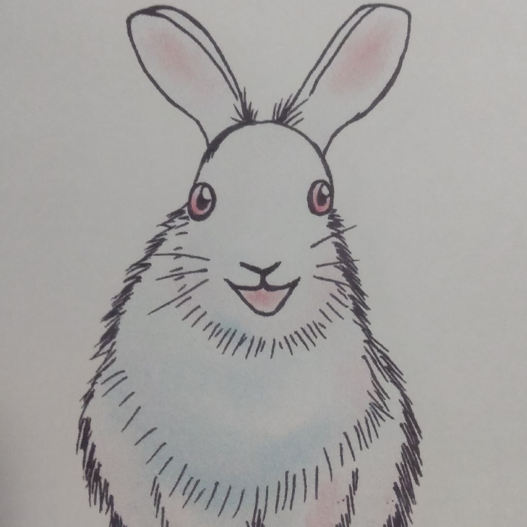 きなさ