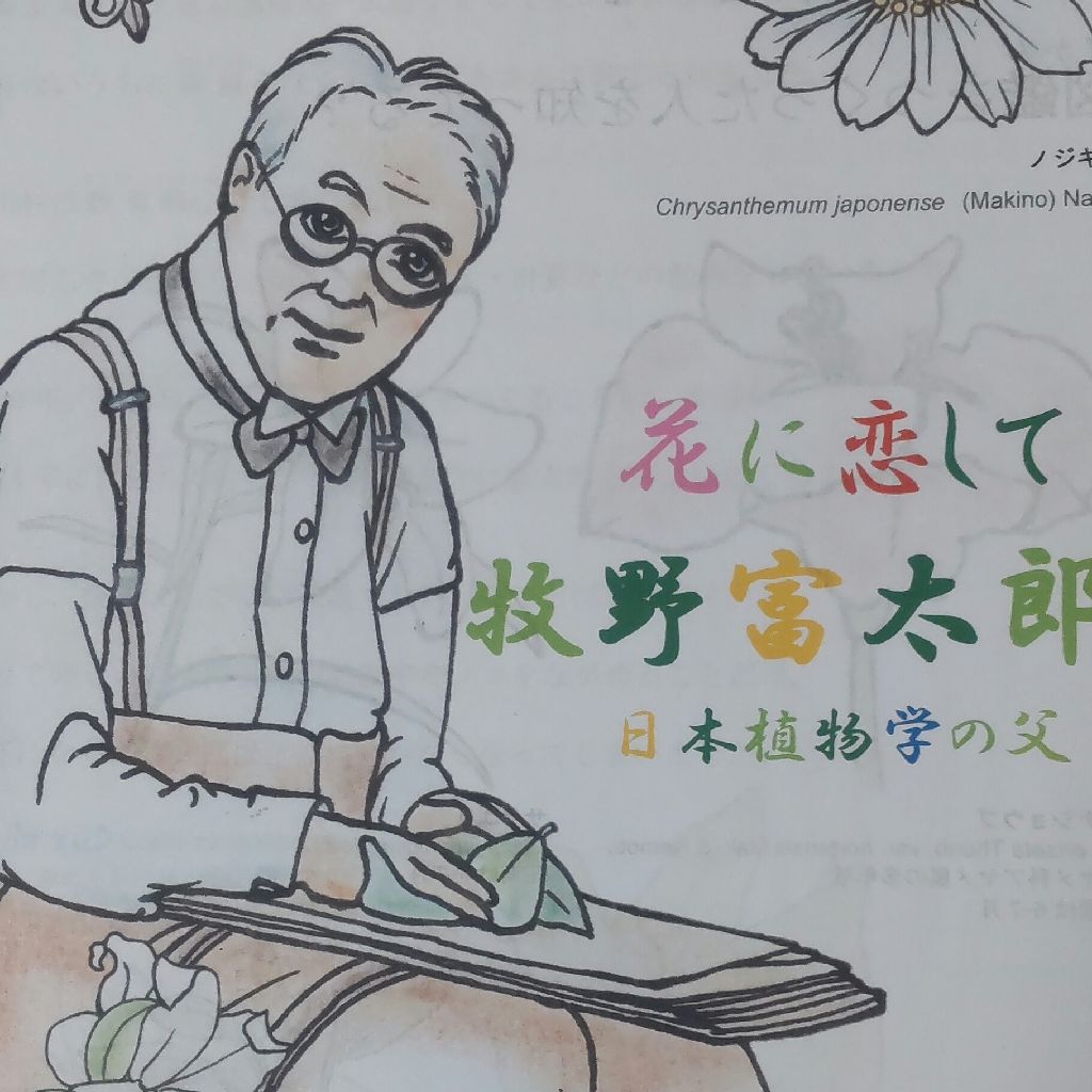 きなさ