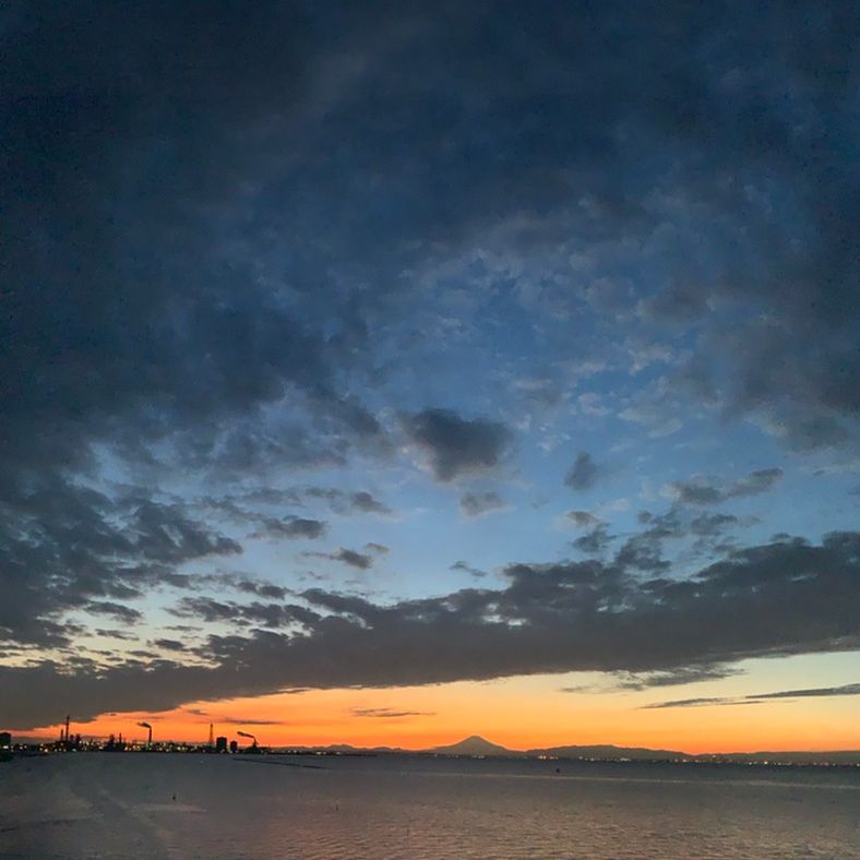 りほの日進月歩。