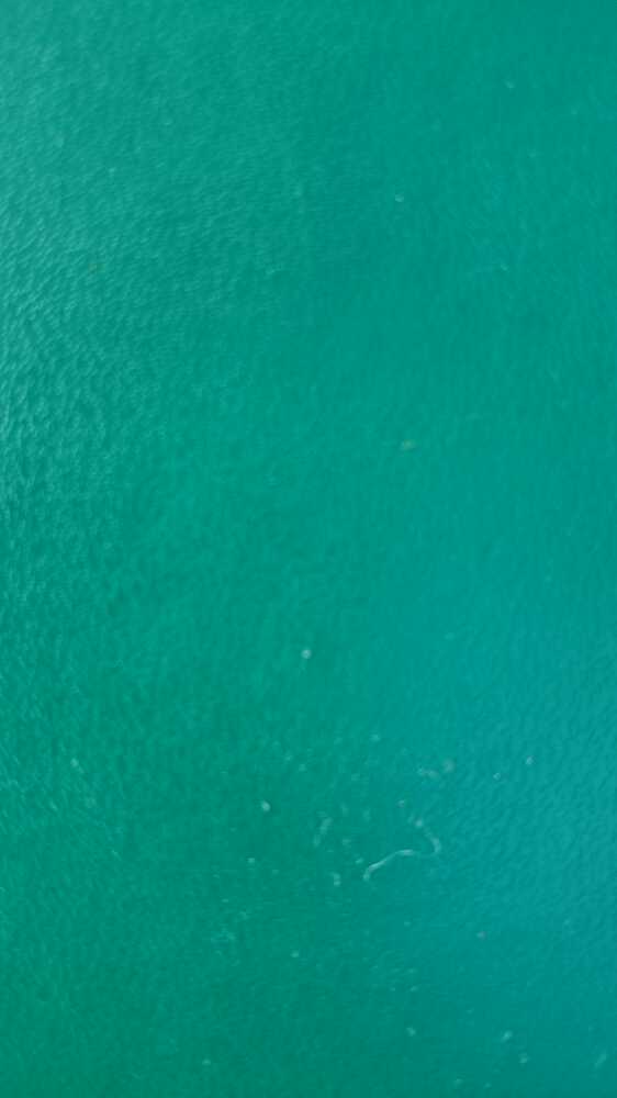 妄想 【鳥太刀が富士登山に行く】【 大倶利伽羅教習所】