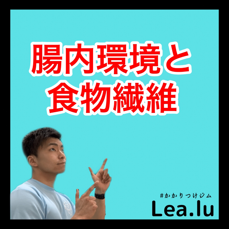 腸内環境と食物繊維