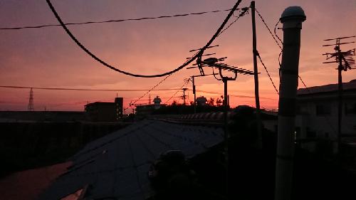 自己紹介してみる