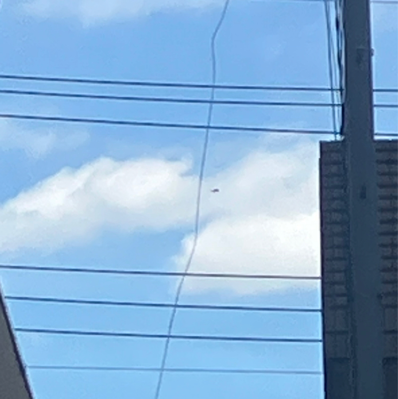 ちゃんとUFOを見た話と郵便配達の話