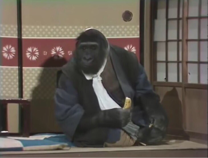 ドリフとゴリラの話