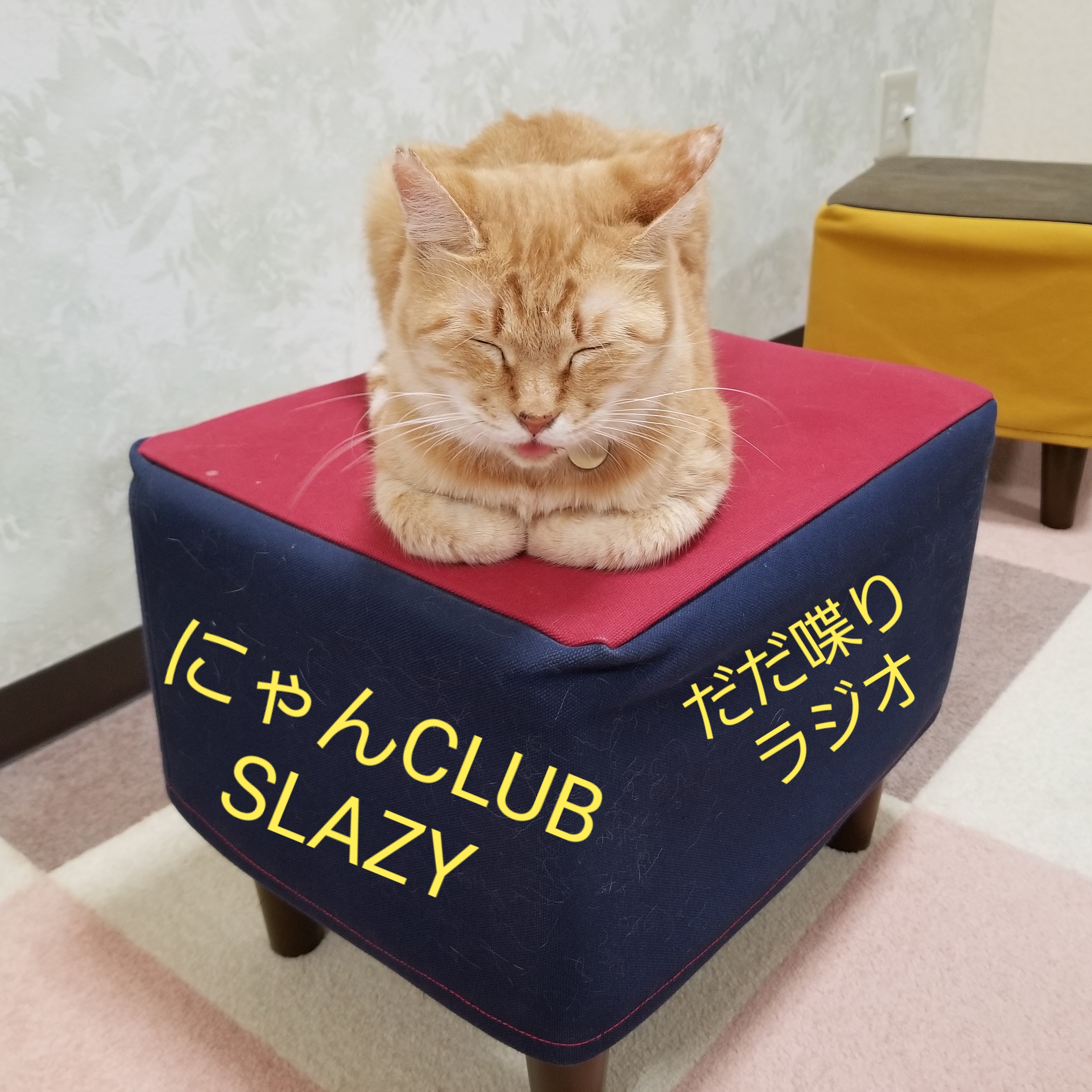SLAZY猫　だだ喋りラジオ　その3