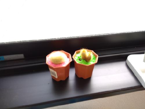 高砂義勇隊が結成された理由