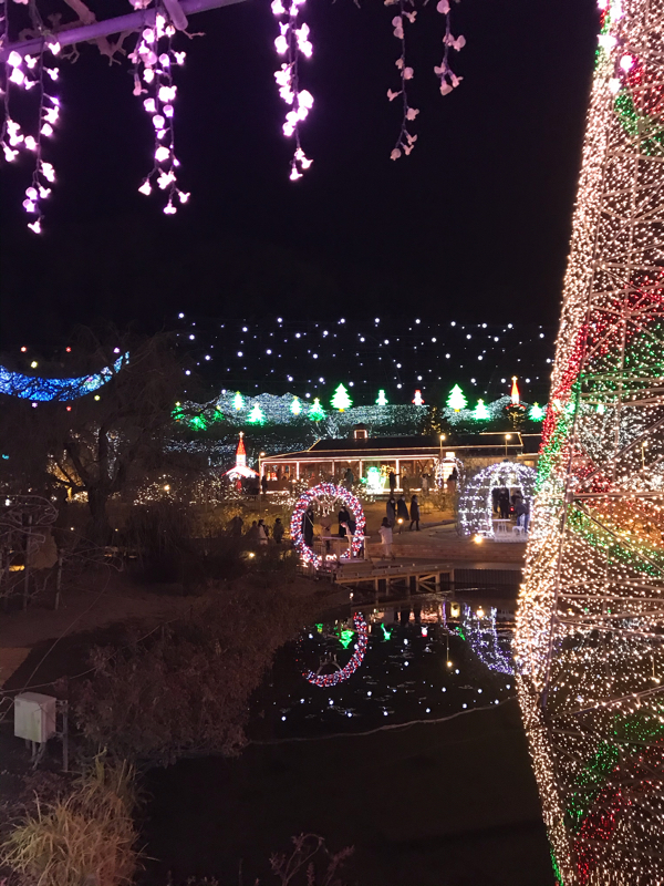 021あしかがフラワーパーク