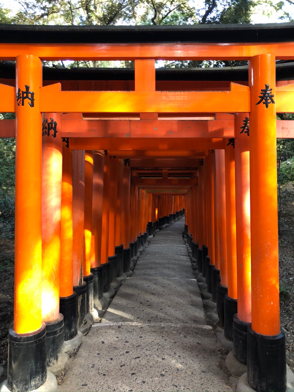 お題に答えるフリートーク‼️