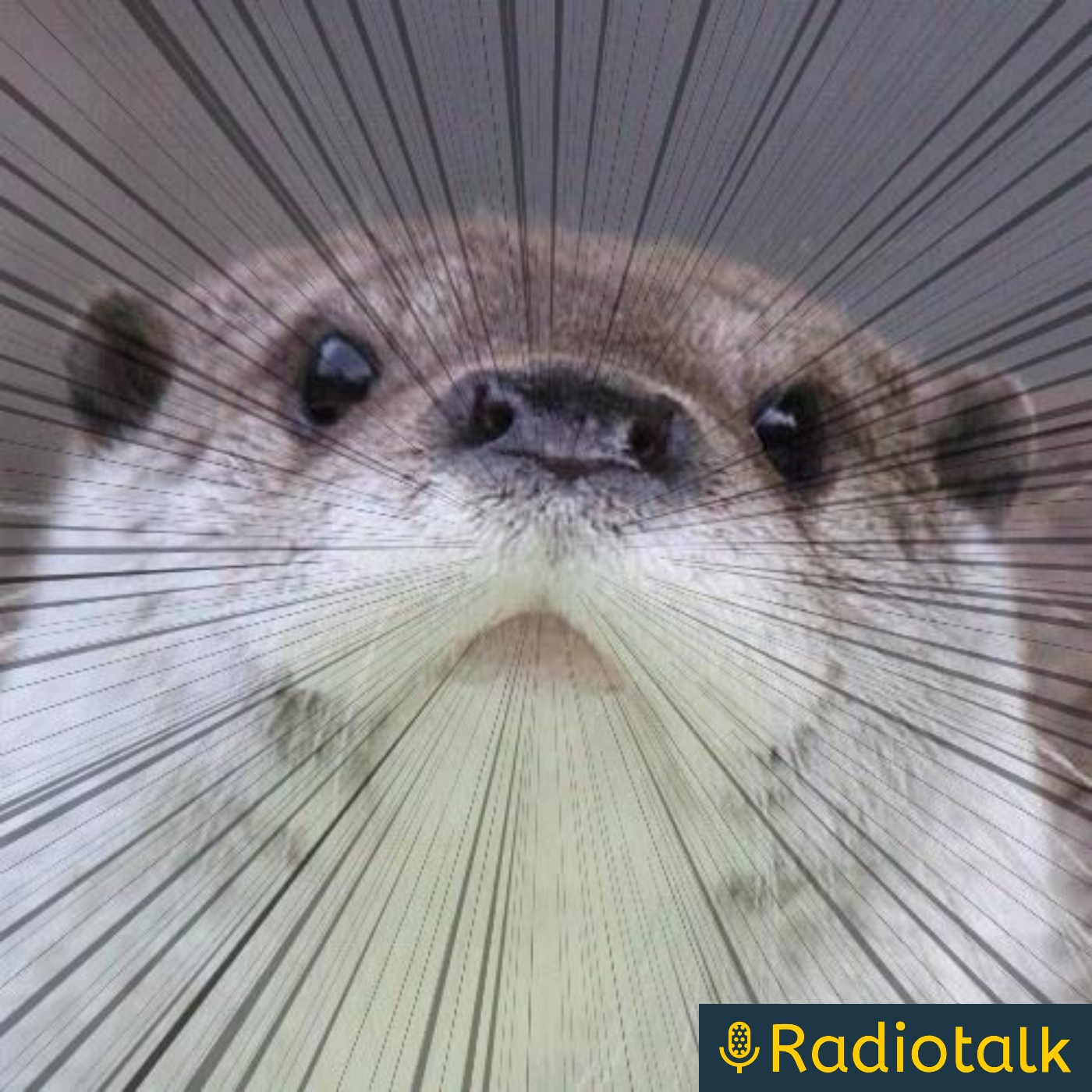 ラジオぺこの穴 podcast artwork