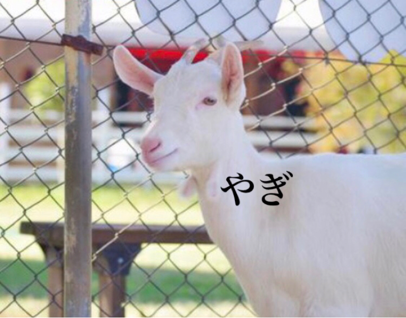 【企画参加】#LT2  今年は是非に！