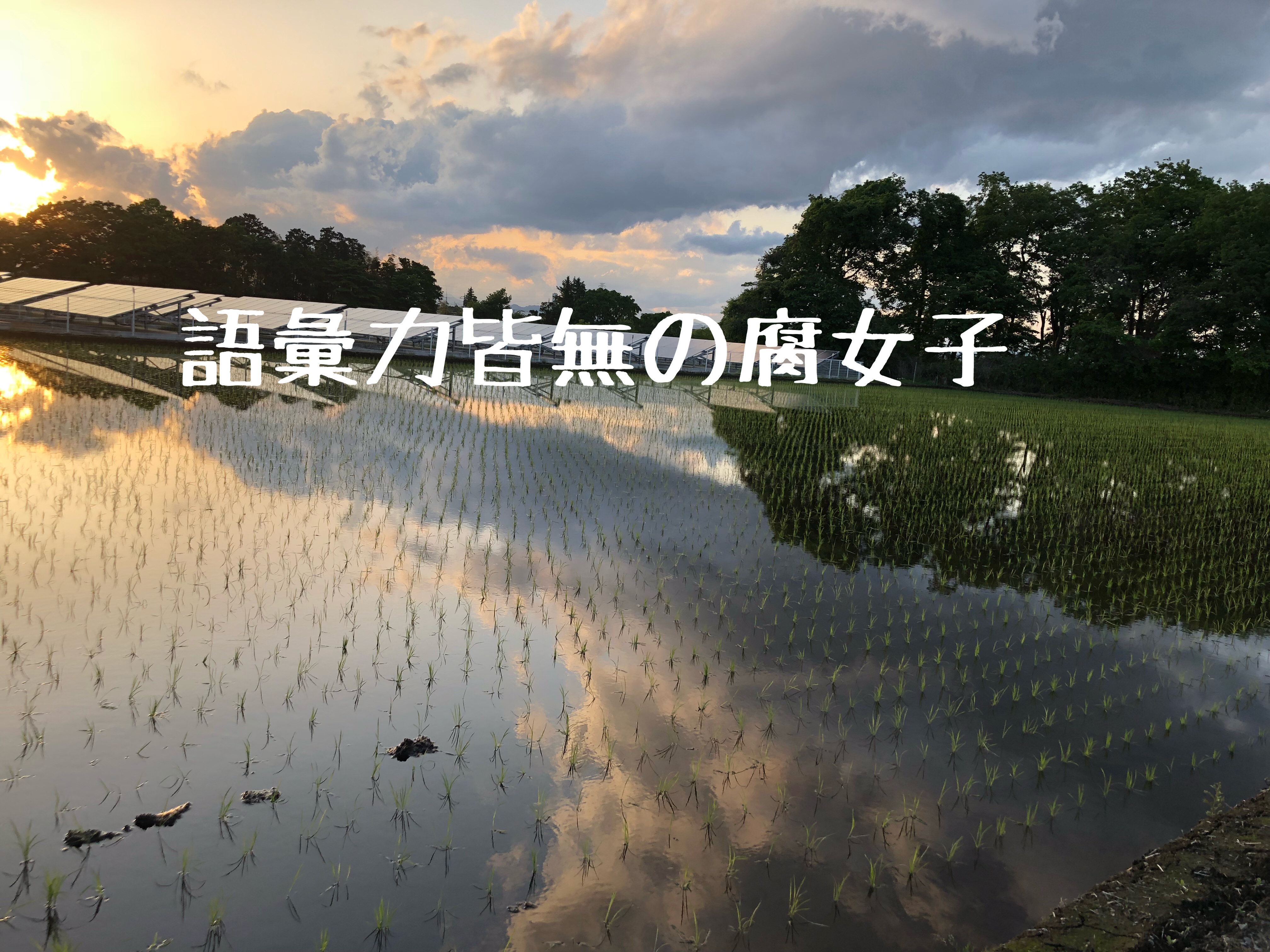 語彙力皆無の腐女子