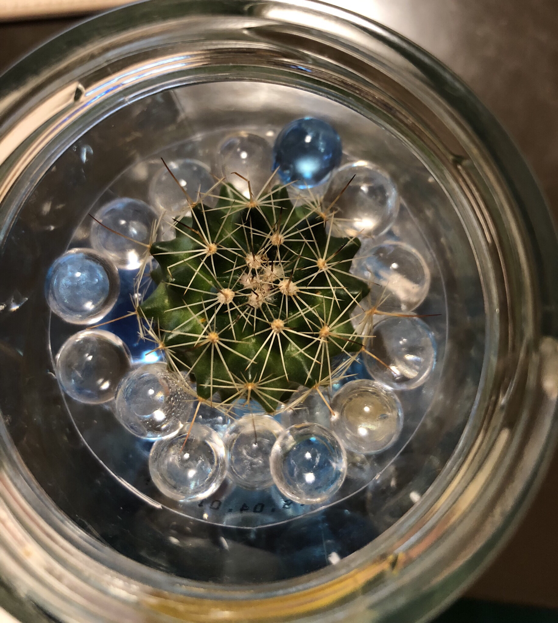 語彙力皆無の腐女子#自己紹介