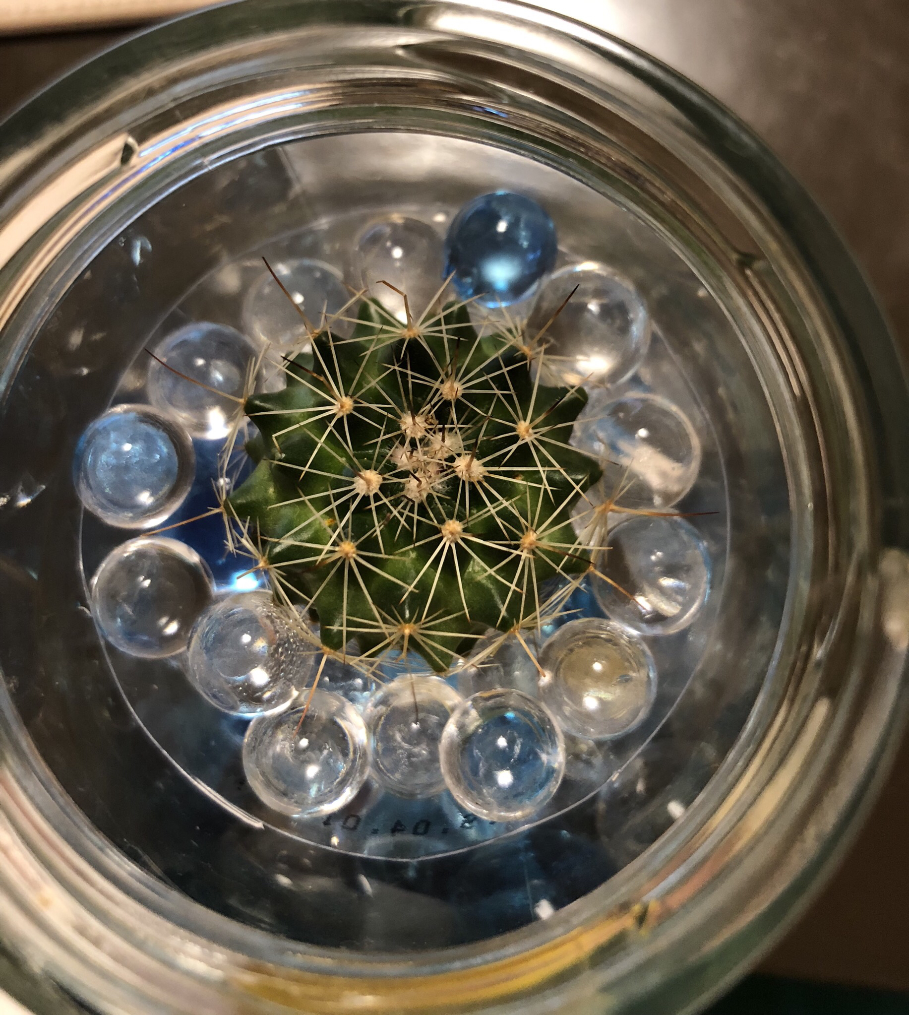 語彙力皆無の腐女子#推しCPについて