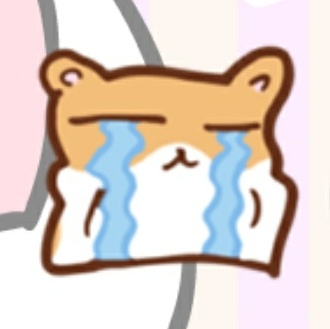 SEVENTEENが日本でコンサートするぞ！！！！！！！！