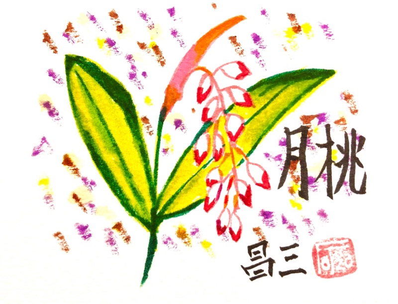 新井昌和のふつおたなぎ倒し#60 猛暑対策教えて〜 from Radiotalk episode artwork